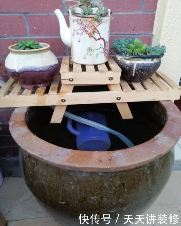大水缸里面种花,花长得更健壮,养家里就是传家宝!