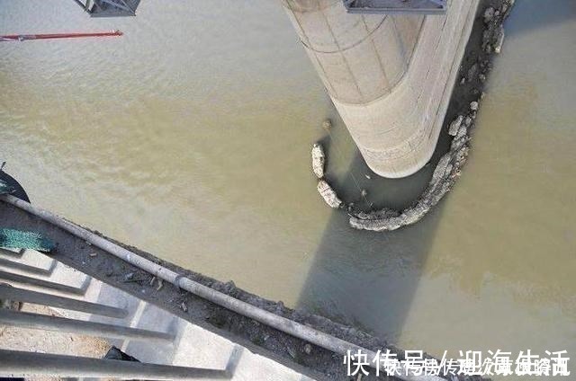 钓法|民间钓鱼人的“流氓式钓鱼”，不用钓饵的，每天照样获鱼几十斤