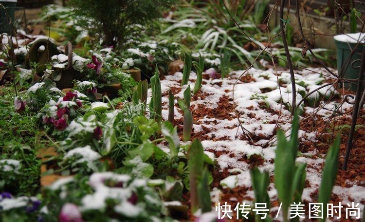小院|荒废多年的80㎡小院,2年半时间打造成下沉式花园,太漂亮了!