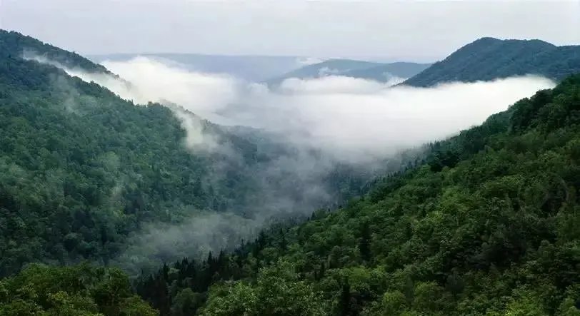 萨满舞|新藏靠边站!这个5w买房10w住别墅的小城,才是打工人的诗与远方