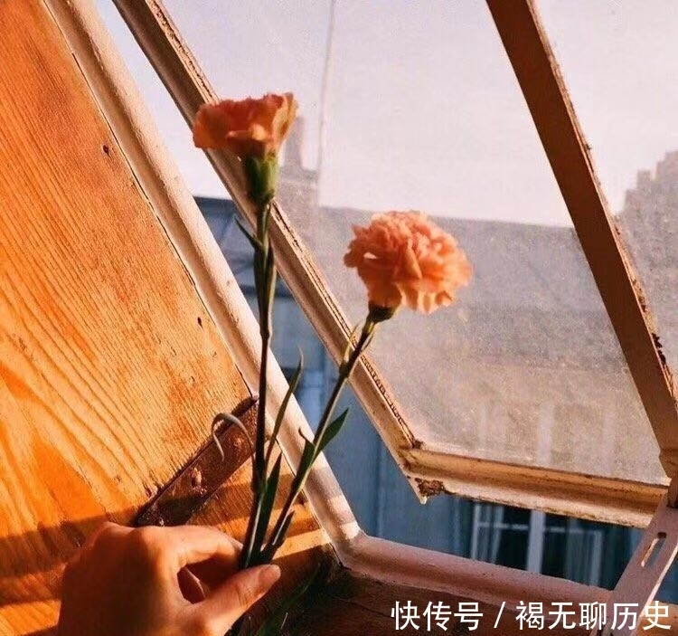 开店|拼多多开店怎么开？具体的细节流程来了