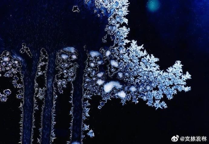  你家|霜窗花，冬天给你家窗子的吻！这些图美得像梦~