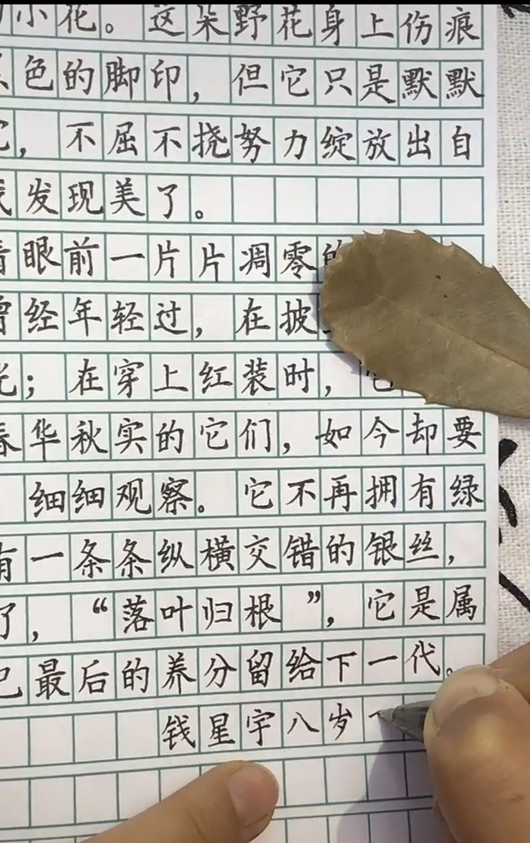 爆红|8岁小男孩“神仙字迹”爆红网络,幸运眷顾早早练字的人