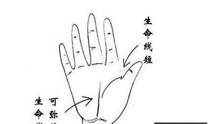 生命线短代表不会长寿吗到底是真的假的 快资讯 生命线短代表不会长寿吗到底是真的假的 快资讯