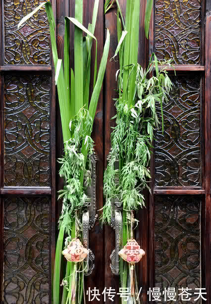 习俗|端午节插艾草有说法,老话说“五讲究三不挂”指的是什么?