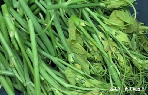 简单一炒就上桌,不需要过多的调料,口感脆嫩,特别好吃下饭