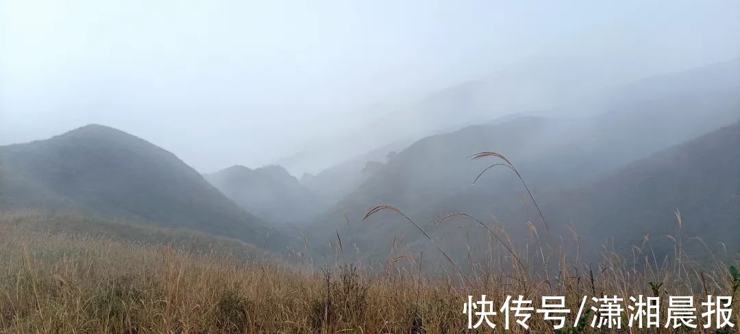 秋天|湖南这座“武功山”，有着最美的秋天草甸