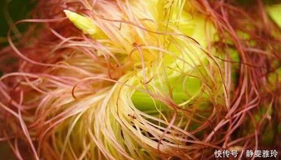 苦瓜|湿气重的人的注意,3种食物可多吃,3种食物再喜欢还是尽量少吃