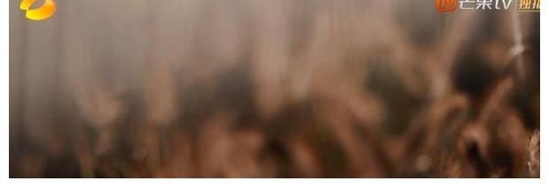 一档高规格音乐综艺,却晒盗版磁带,还把歌曲发布时间弄错