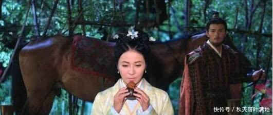 嫁给|她是汉武帝最宠爱的姐姐，克死两任丈夫，嫁给一马夫后找到幸福