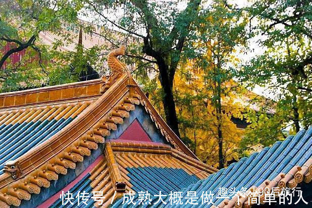 古建筑群|南京最规模宏伟的古建筑群，有“江南之首”的美誉，门票仅25元