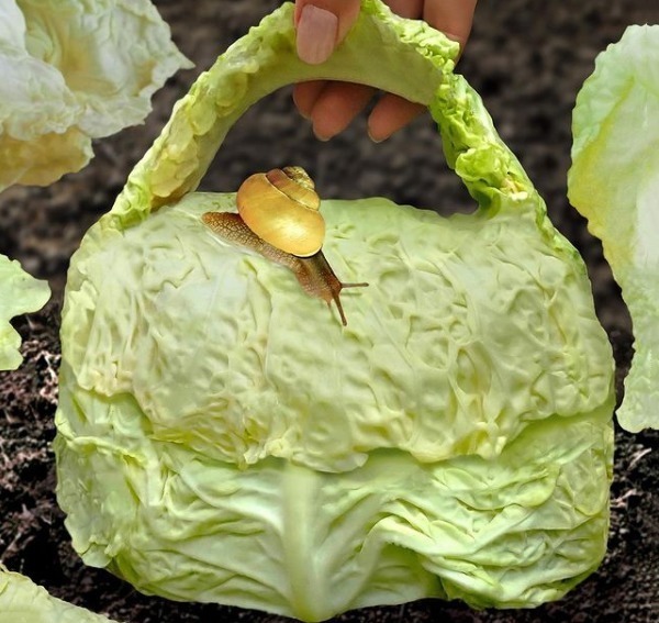 人体@这个女生的奇思异想,把“人体”艺术玩到了极致!