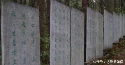  一代女将死后埋了四十八座坟，四十八个送葬队伍全毒死！