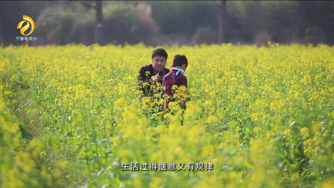 遇见心中的桃花源，洋中青山绿水田园乐，梦里水乡令人神往