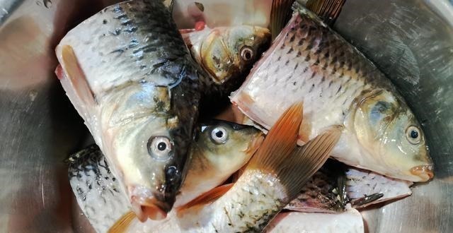 秋天,有钱没钱,多吃这鱼,5元一斤,炖汤喝营养高又鲜美!