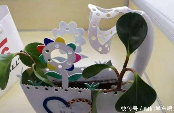 6种“垃圾”最适合做花盆,一分钱不花就能得到,比买来的还精致!