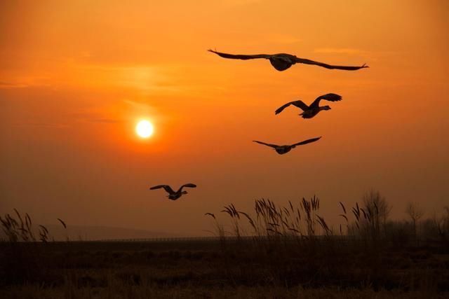 秋晓$诗词他乡天早冷,故土水常温。不似春光里,粤山胜似春