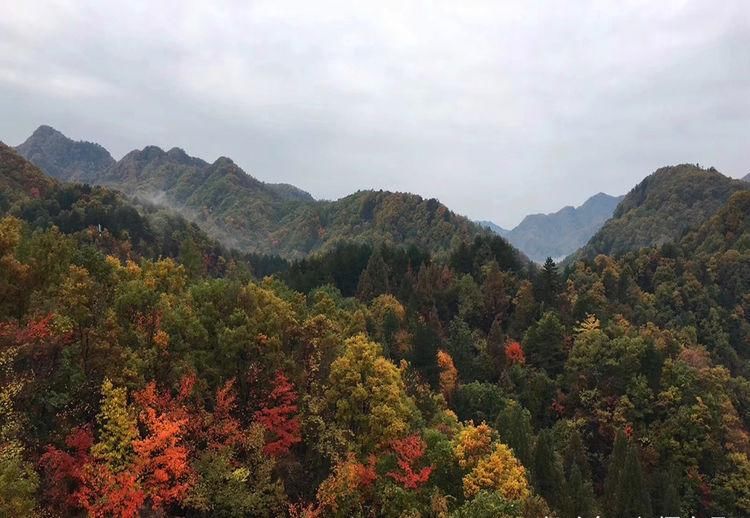 绚烂|收集深秋的绚烂景致，温暖日渐临近的寒冬，守着炉火弥漫回忆