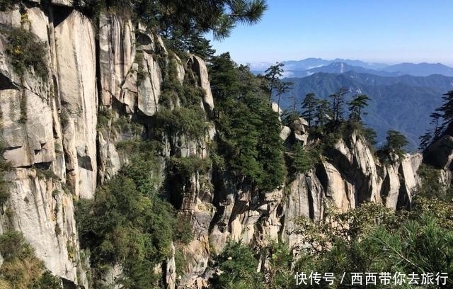 景区|河南一良心景区，以原始森林为看点，还推出了对景区不满意可退票