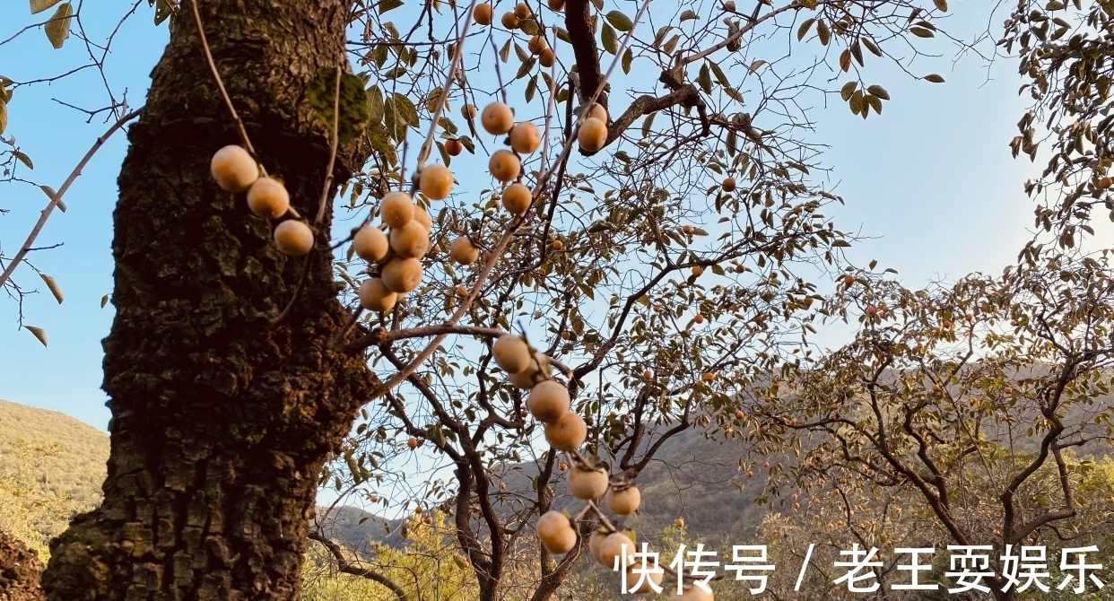 太行山|走到太行一号公路的尽头，寻找山尖上的寺庙，感受与众不同的神圣