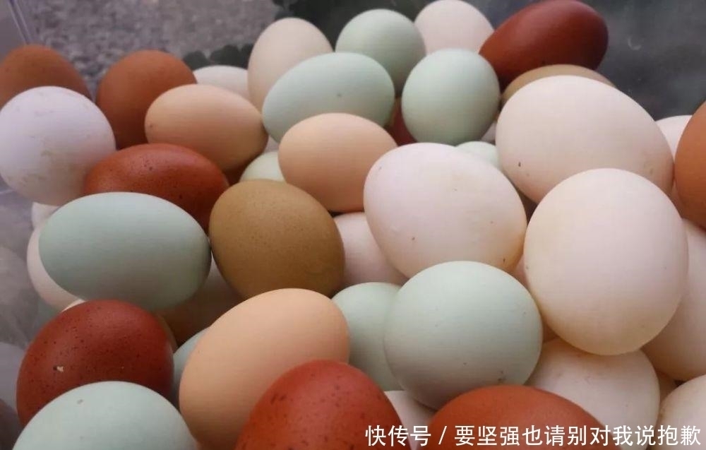 买鸡蛋时，白壳和红壳鸡蛋选哪种好？教你三招，买到好鸡蛋