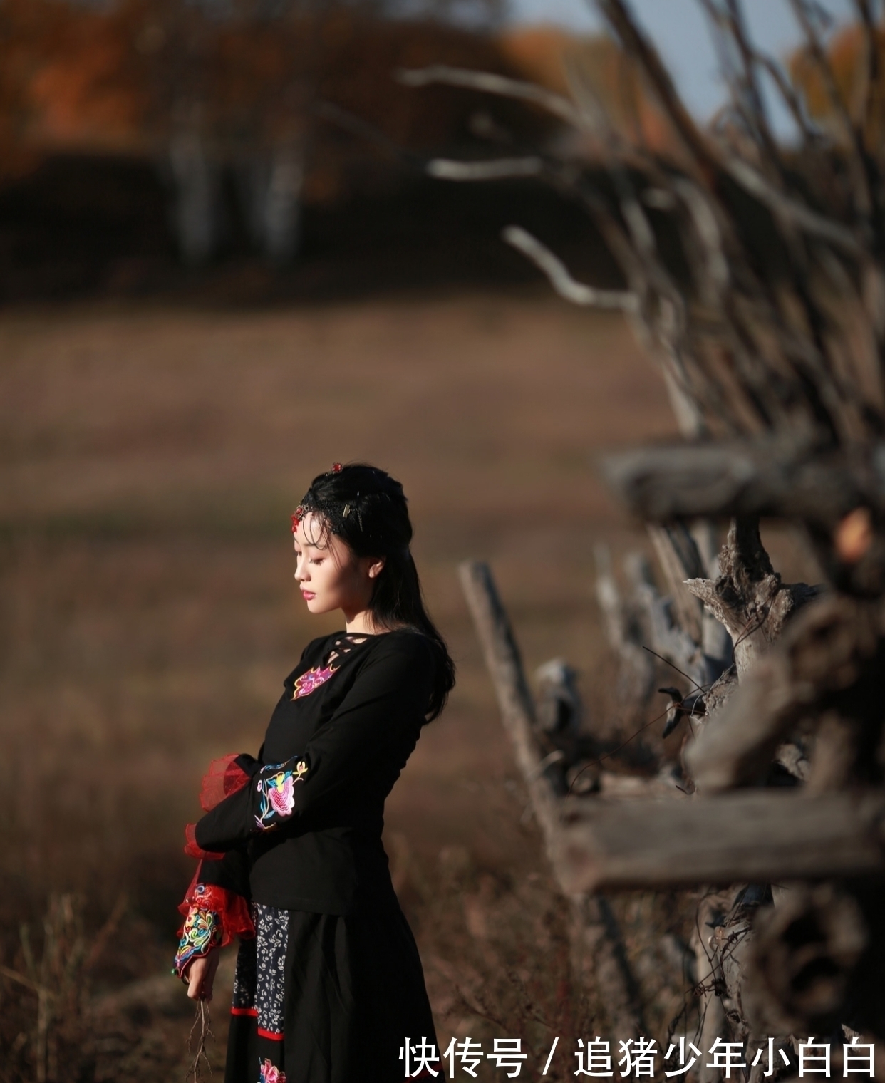 雪飞!词·八阕丨幻梦无痕焉可顾,红香叠影凝冰露