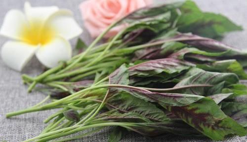 便秘|便秘的“死对头”被发现,经常吃一点,肠道通了,便秘也不来扰