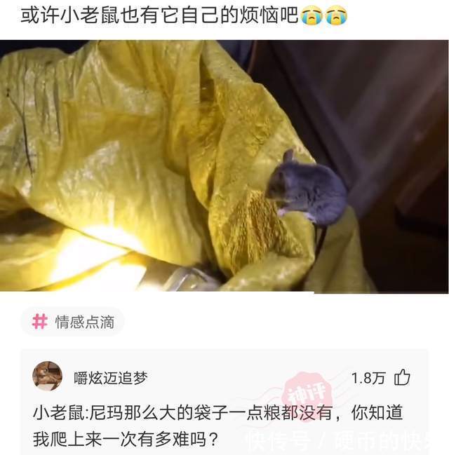 |搞笑神评：路上看到一个女孩对我笑，她是不是喜欢我？