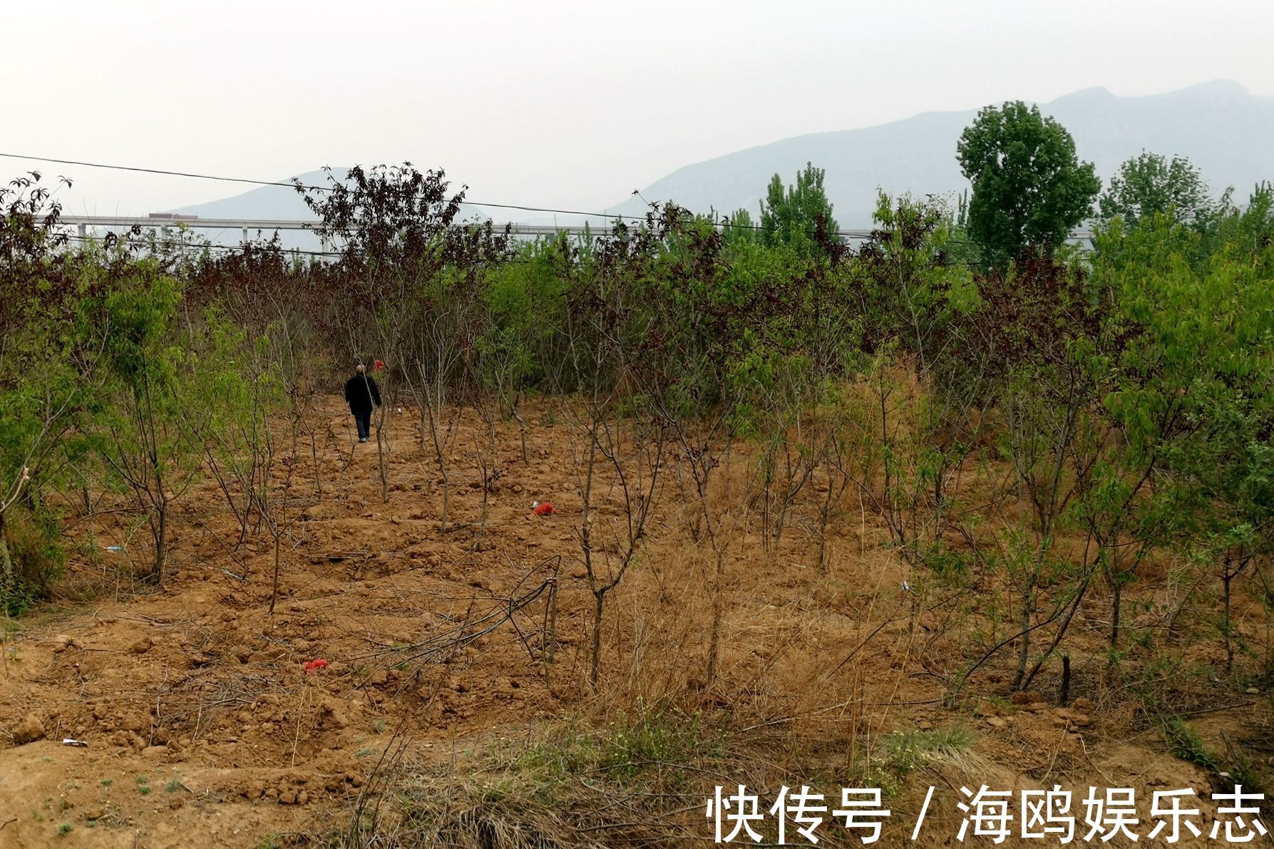 手指甲|农村7旬老人独身生活20年,手指甲长的惊人,看他生活成啥样