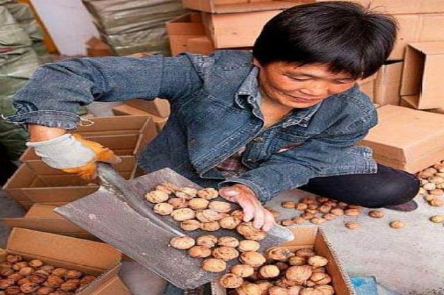 为什么现在的核桃越来越便宜了小贩从不说，但你要心中有数