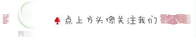 女子|女子花1200元买的进口菜刀，却连西红柿都切不动商家刀是正品
