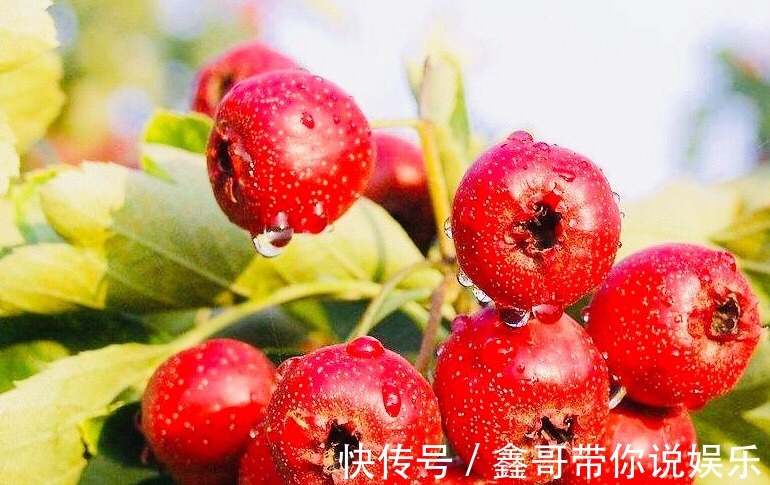 美白|爱吃山楂的人，身体不会差，美白祛斑，补血活血，大肚子也没了