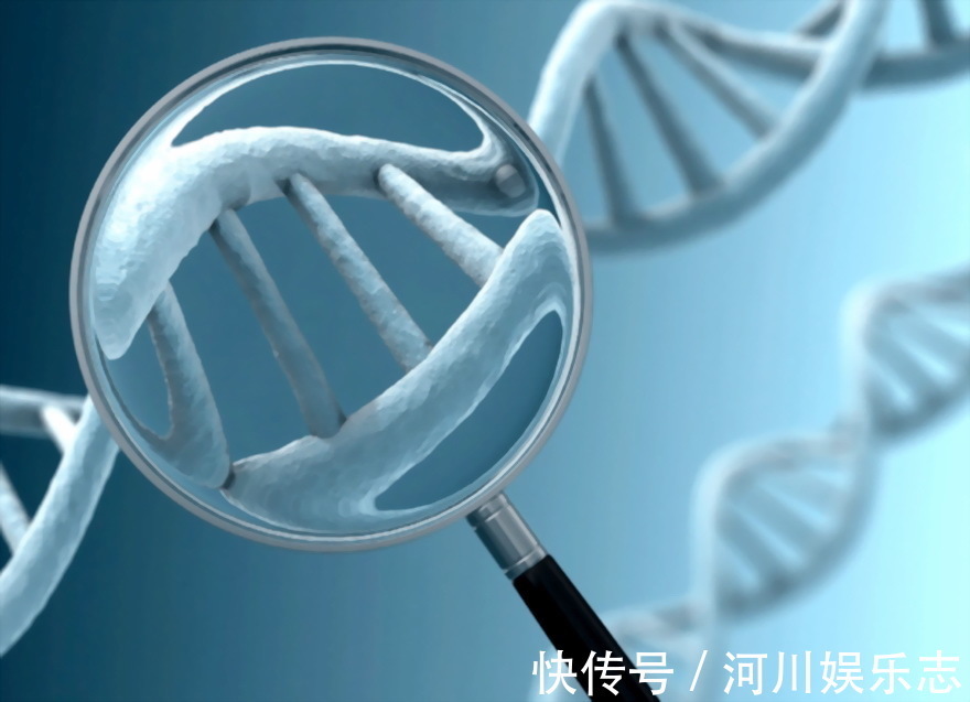 醛固酮增多症|刚一落地,就已经被高血压盯上了高血压也具有遗传性