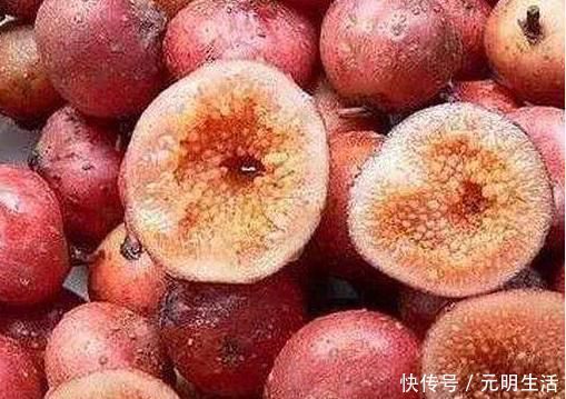 农村|农村一种常见的“野果”,烂在地里无人要,现如今卖到20一斤