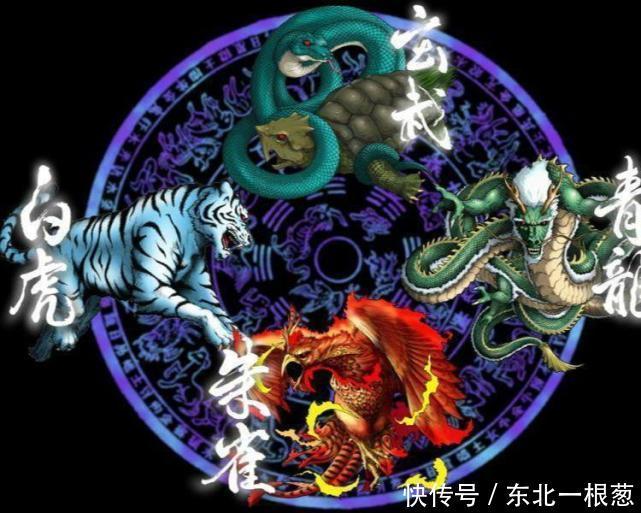 这些神兽来头大:左青龙右白虎前朱雀后玄武,代表着什么?