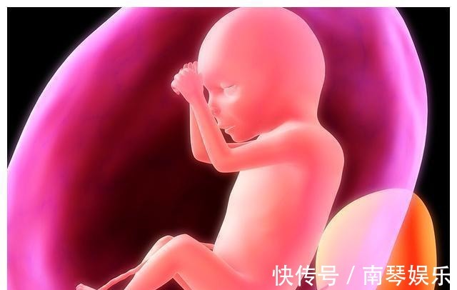 景景|胎儿最怕听到的3个声音,孕妈们要注意,别再“折磨”你的宝宝了