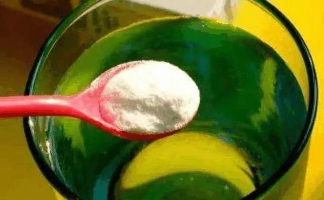 9种花真是老酒鬼,5天一小杯,叶子绿得像打蜡