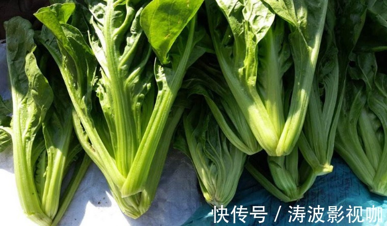 牛皮菜|洋葱大蒜靠边站,秋季最“厉害”的是它,滋养皮肤,抗衰老
