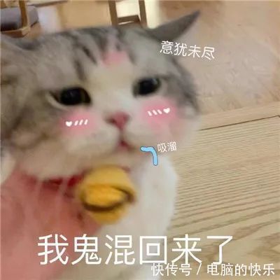 聊天|热门的沙雕聊天表情大全:小王八掉眼泪你鳖伤心