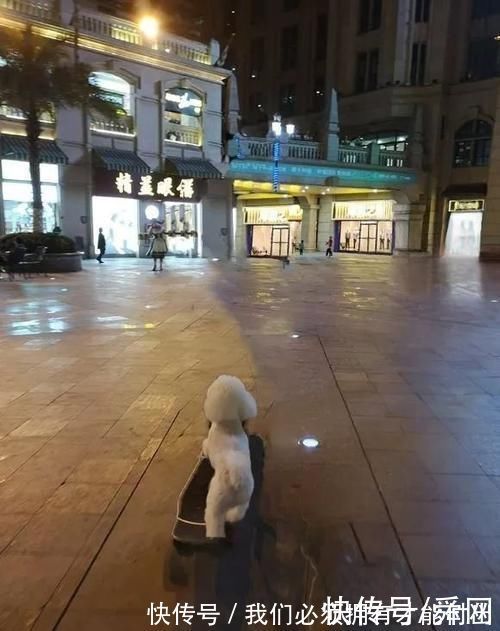 |搞笑p图妹子这膝盖是怎么受伤的,还想要p掉!