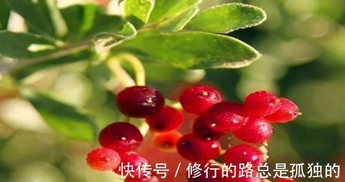 苹果|养肝就是保命,3种食物,养肝护肝,排毒养颜,肝脏舒服,人年轻