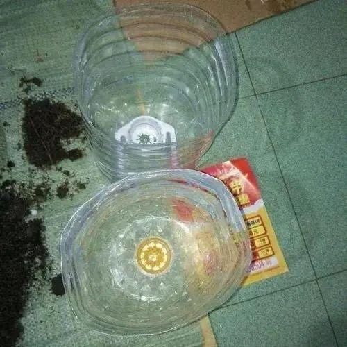 在垃圾桶里装满泥土,摆在阳台上有妙用,一年能帮你省下不少钱