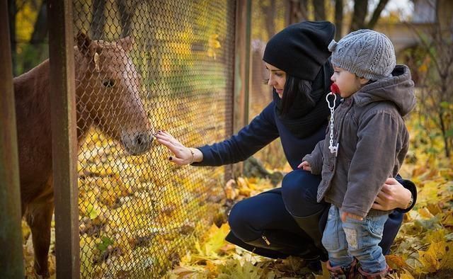 道德感|“31岁还是个孩子”:“巨婴式教育”能不能洗洗睡了