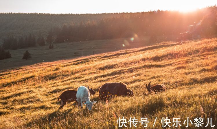 星座|对待感情，段位很高的星座，说散就散，不多情、不迷恋、不纠缠