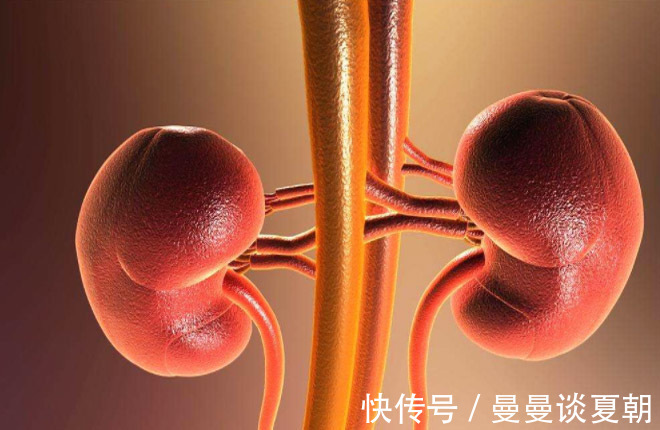 代謝物|尿液發黃是上火不一定，也可能是4種身體信號，希望你沒忽視