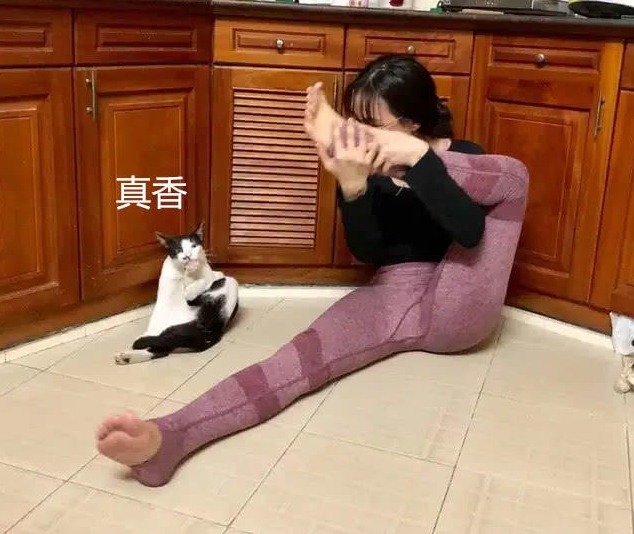 女主子|女主子在家练瑜伽，猫咪跟她一起练，网友私人教练是哪请的