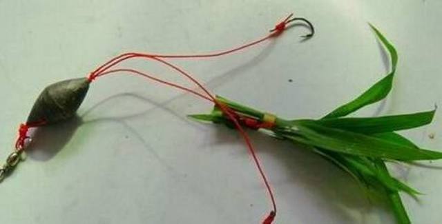 青草做饵料钓草鱼的方法,试过的钓友都说好,制作简单很有效