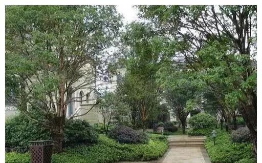 楼盘|买一期房和二期房没什么不同?区别大了去了,房友:看完后扎心了