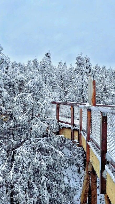 武隆游|虎年新春武隆游，玩雪赏景好安逸！