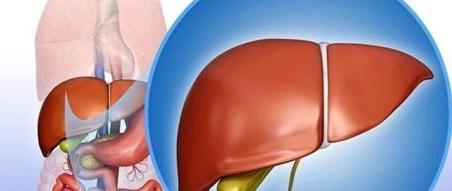 高脂食品|便秘的人吃什么食物通便快？并不是香蕉，正确答案是这3个